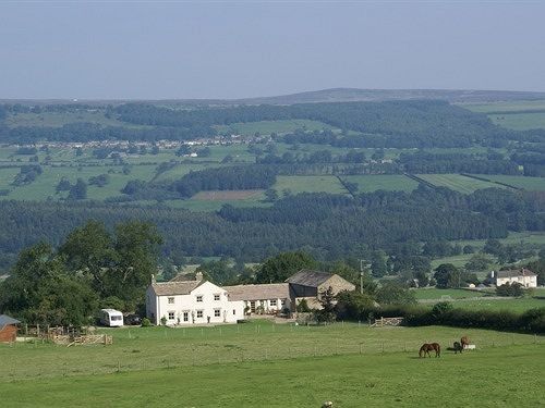 Bed and Breakfast Capple Bank Farm Wensley Exteriér fotografie